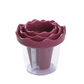 🥳2026 HOT SALE🥳💞50K+ SOLD! 🌹🥕 50% OFF! Manual Vegetable Spiralizer & Curler – Turns carrots & cucumbers into stunning rose garnishes in seconds. High‑precision blade,