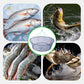 🥳2026 HOT SALE🥳💞50K+ SOLD! 🎒🪢 50% OFF! Foldable Round Lift Net – Folds flat for easy transport, opens wide for effective catch. Nylon mesh, rope included – ideal for shrimp & bait collection! Only £8.99 – last day! 🏷️⏰