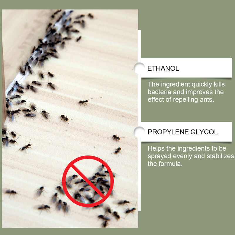 🥳2026 HOT SALE🥳💞50K+ SOLD! 🐜🚫 50% OFF! Multipurpose Powerful Termite Repellent Spray – Fast-acting formula disrupts termite trails & prevents re-infestation. Long-lasting barrier – protect your home from wood-destroying pests! 🏠✨