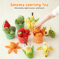 🥳2026 HOT SALE🥳💞50K+ SOLD! 🍎🥕 50% OFF! Sensory Fruits & Veggies Plush Toys – crinkly textures, bright colours & soft cloth. Builds early vocabulary, colour recognition & healthy eating habits – fun learning for little hands! 🧸✨