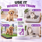 🥳HOT SALE🥳💞10K+ SOLD! 🐾✨ Potty Training Spray – guides pets to the right spot, stops messy accidents. Safe, gentle & easy spray – cleaner home, happier you! ✅🏠