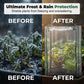 🥳2026 HOT SALE🥳💞50K+ SOLD! ❄️🌿 All-Weather Plant Cover – clear PVC lets sunlight in, keeps frost out. Grow herbs & veggies all year round. Indoor & outdoor use! 🏠💪