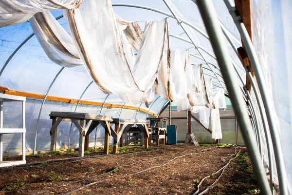 🥳2026 HOT SALE🥳💞50K+ SOLD! 🌿🔒 Shade Cloth Fixing Clips – lock-grip design holds netting tight, won't blow away in UK winds. UV-treated & reusable – secure your garden shade in seconds! 🏡💪
