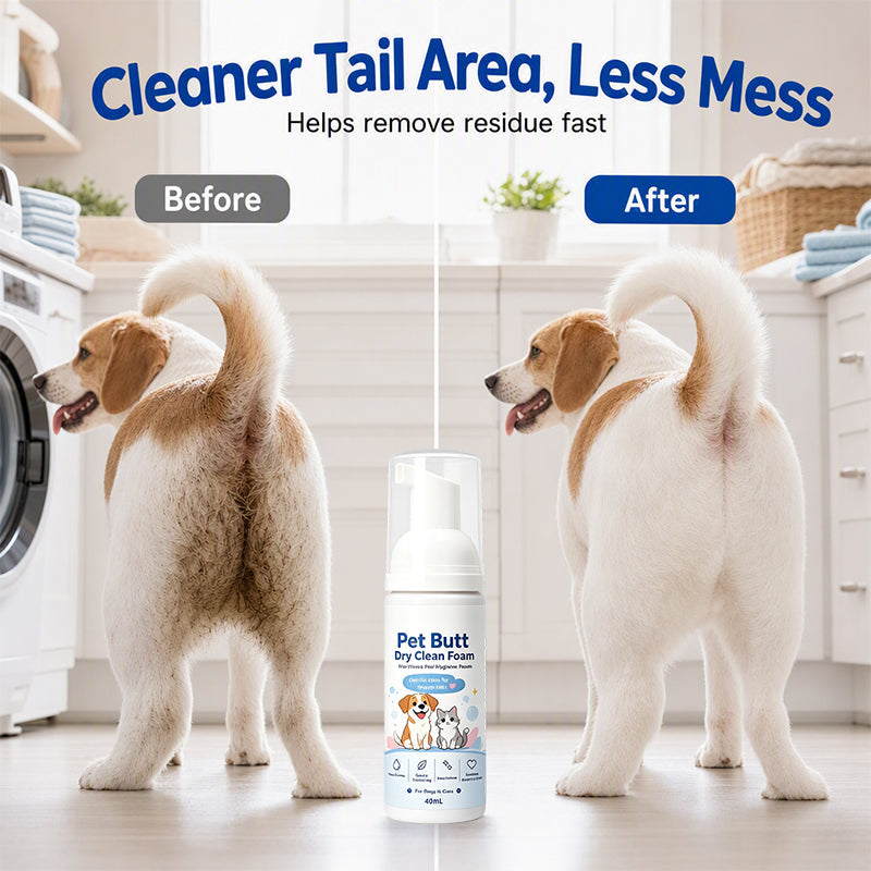 🥳2026 HOT SALE🥳💞50K+ SOLD! 🐾✨ 50% OFF! No-Rinse Pet Hygiene Foam – quick clean for dogs & cats, wipe away mess without a bath. 40ml, gentle & easy! 🧼💚