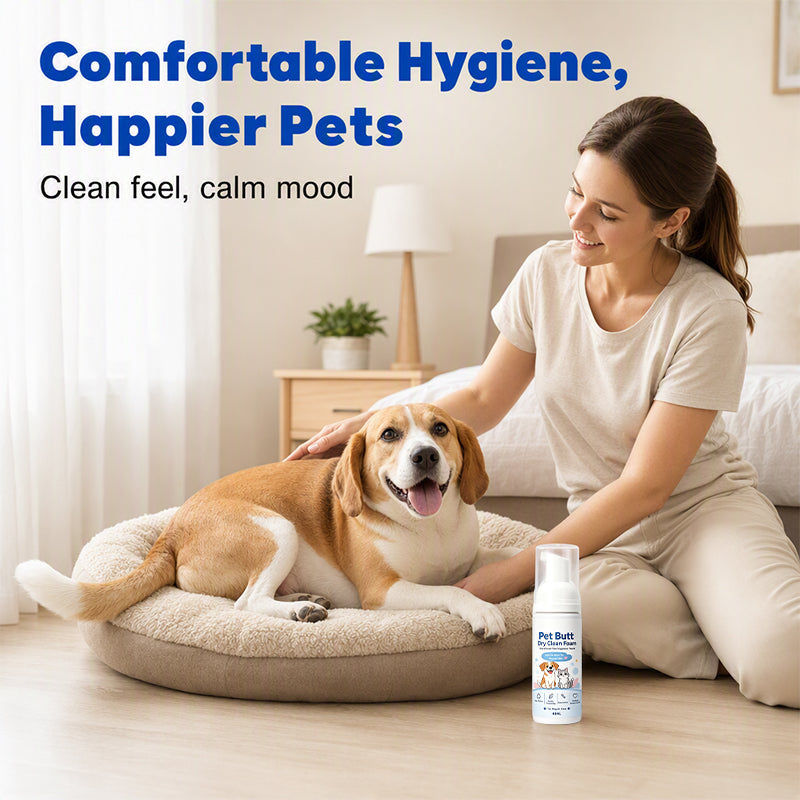 🥳2026 HOT SALE🥳💞50K+ SOLD! 🐾✨ 50% OFF! No-Rinse Pet Hygiene Foam – quick clean for dogs & cats, wipe away mess without a bath. 40ml, gentle & easy! 🧼💚