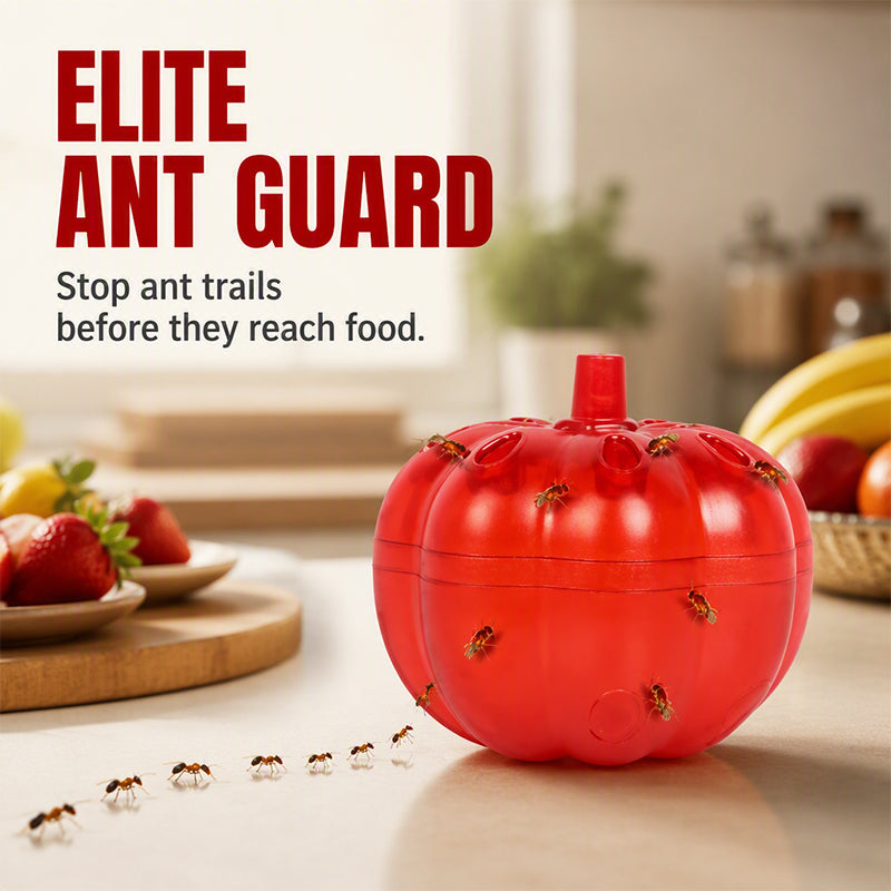🥳2026 HOT SALE🥳💞50K+ SOLD! 🎃🐜 50% OFF! Pumpkin Shaped Indoor Fruit Fly Trap  – non-toxic lure-and-trap funnel, safe for kids & pets. Keeps kitchen pest-free! 🛡️✅