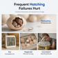 🥳2026 HOT SALE🥳💞50K+ SOLD! 🥚🐣 50% OFF! USB Automatic Egg Incubator – auto egg turning, even heat circulation, quiet & clear view. Hatch chicks, ducks & quails at home! 🛡️✅