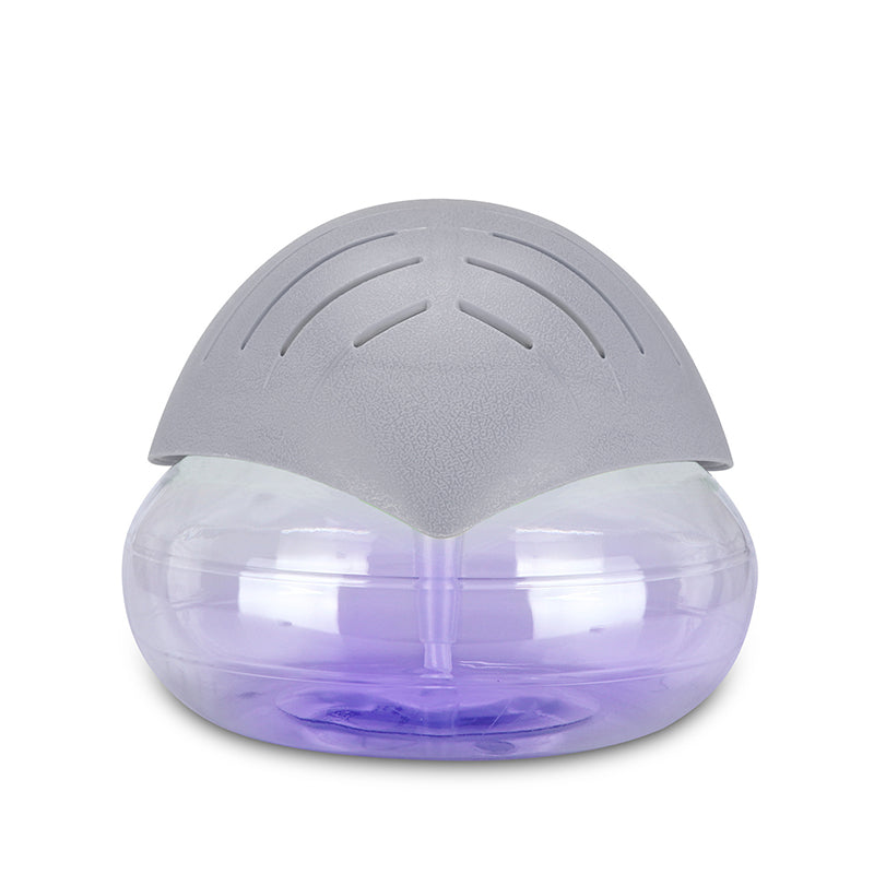 🥳2026 HOT SALE🥳💞50K+ SOLD! 🌫️💧 50% OFF! Portable Fog-Free Air Humidifier & Purifier – mistless, 7-color LED, large capacity, quiet. Cleaner air & better sleep! 🛡️✅