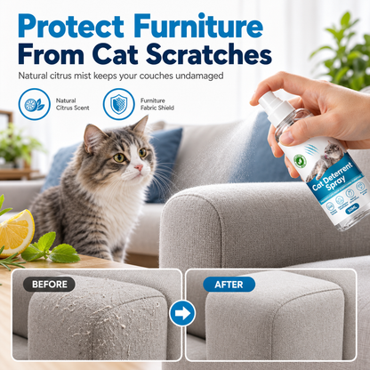 🥳2026 HOT SALE🥳💞50K+ SOLD! 🐱🛋️ 50% OFF! Cat Scratch Deterrent Spray – natural citrus stops clawing instantly, protects sofas & wood. Save your furniture! 🛡️✅